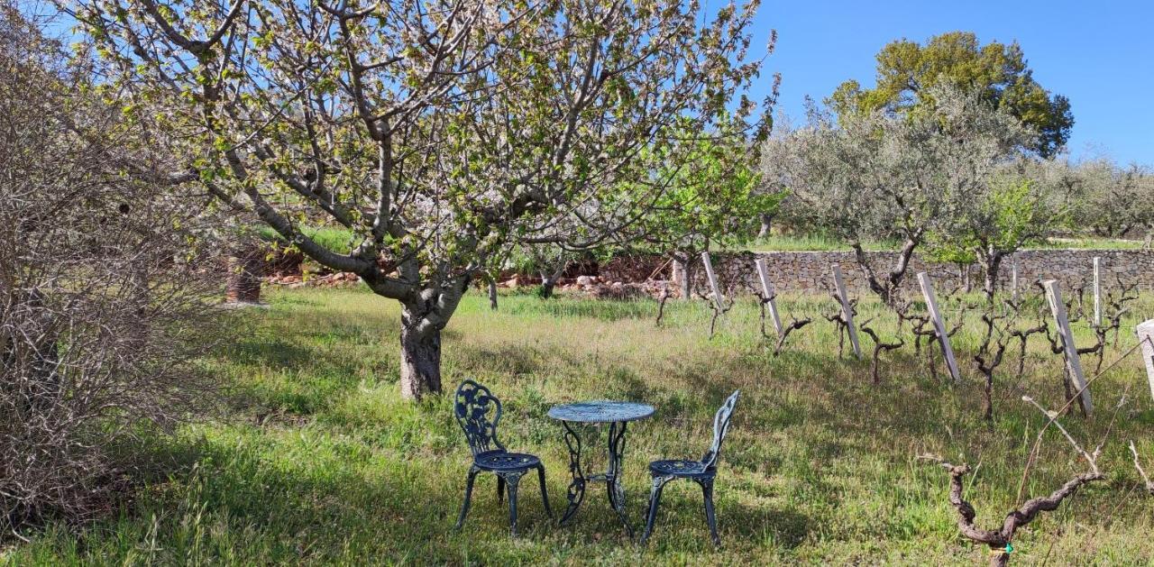 Il Vigneto Sole&Luna Con Piscina Privata Martina Franca Bagian luar foto