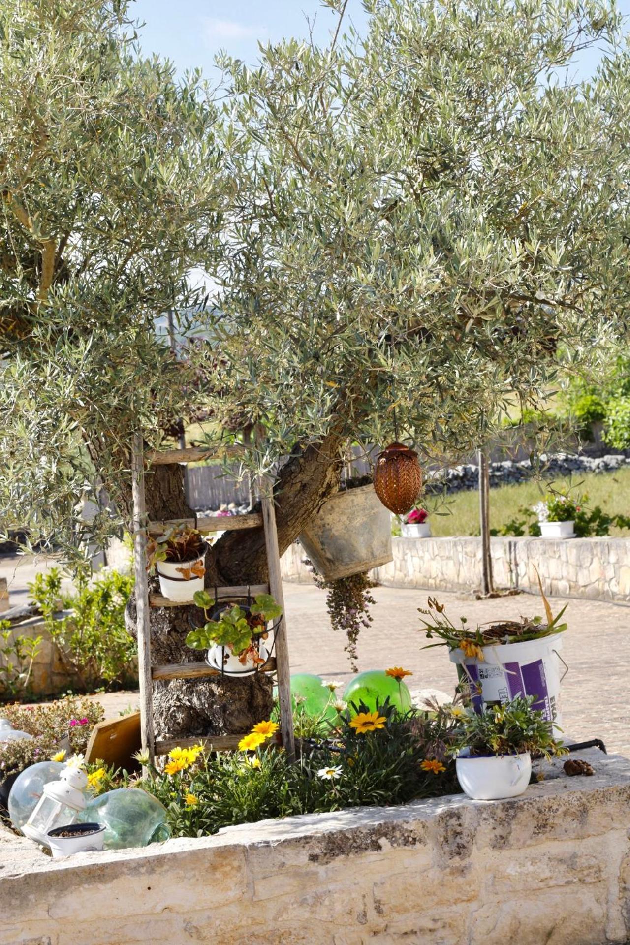 Il Vigneto Sole&Luna Con Piscina Privata Martina Franca Bagian luar foto